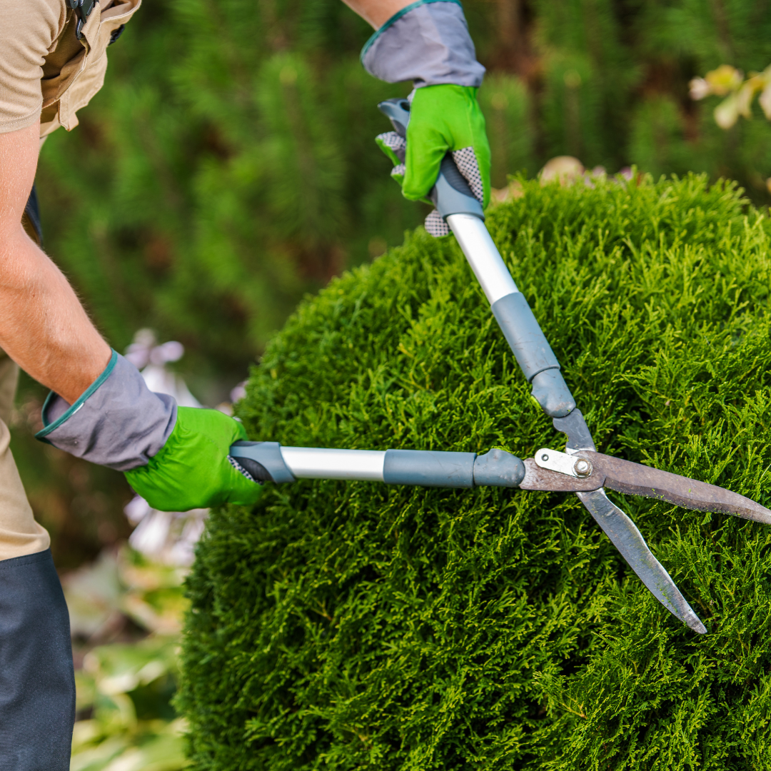 logiciel syndicats de copropriétés